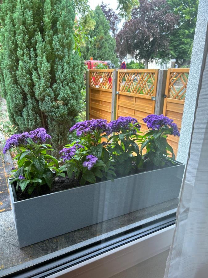 Fewo By Hd Mit Parkplatz, Wallbox, Wintergarten Bad Salzuflen Exterior foto